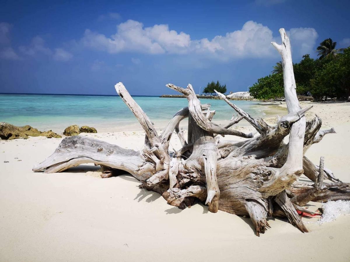 String Wave Maldives Hotel Gulhi Exterior photo